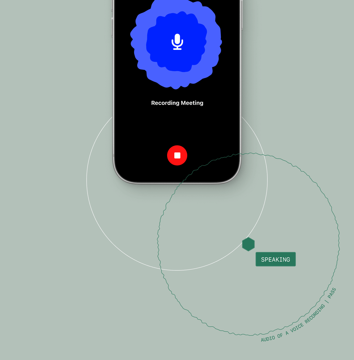 Audio capture